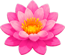 Flores raras